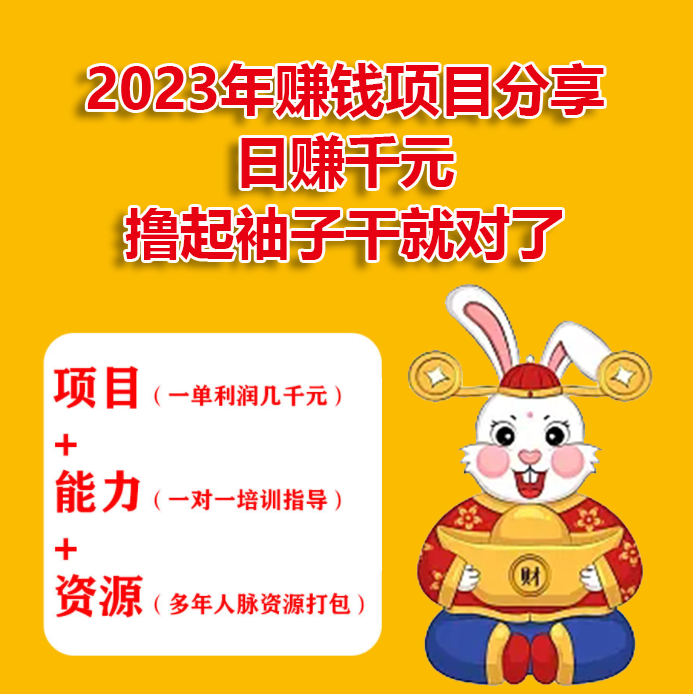 2024年赚钱项目分享，日赚千元，撸起袖子干就完了。